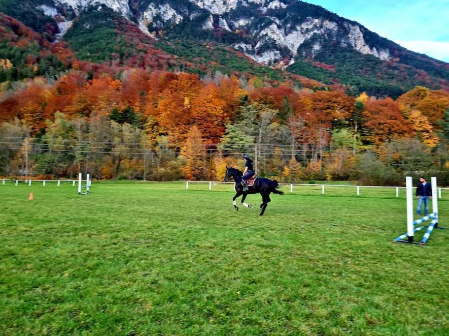 Cosy Family Apartment Reichenau Εξωτερικό φωτογραφία
