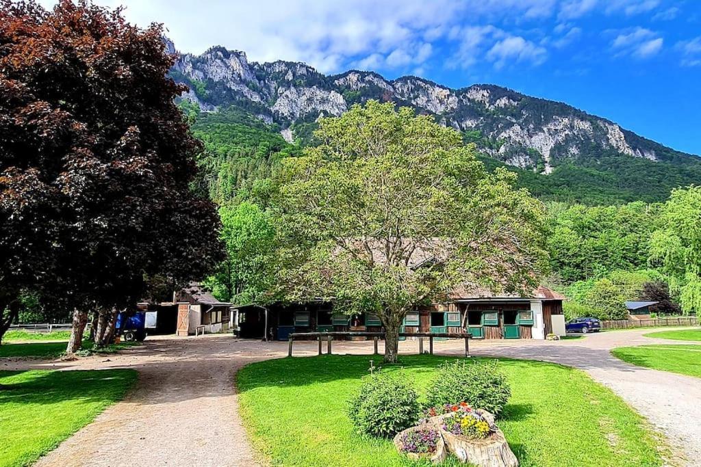 Cosy Family Apartment Reichenau Εξωτερικό φωτογραφία